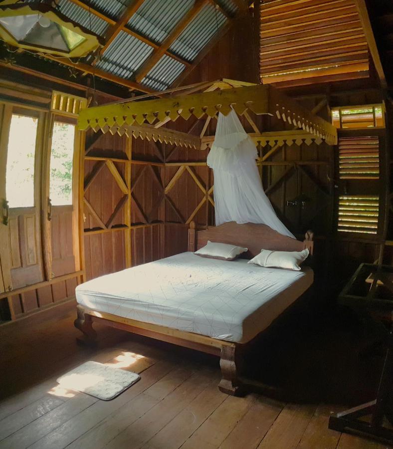 Happy Ria Homestay & Guesthouse Bukit Lawang Exteriör bild