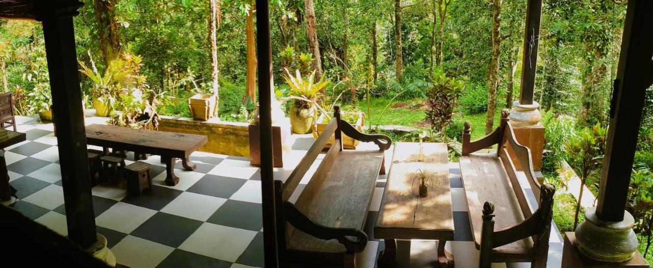 Happy Ria Homestay & Guesthouse Bukit Lawang Exteriör bild