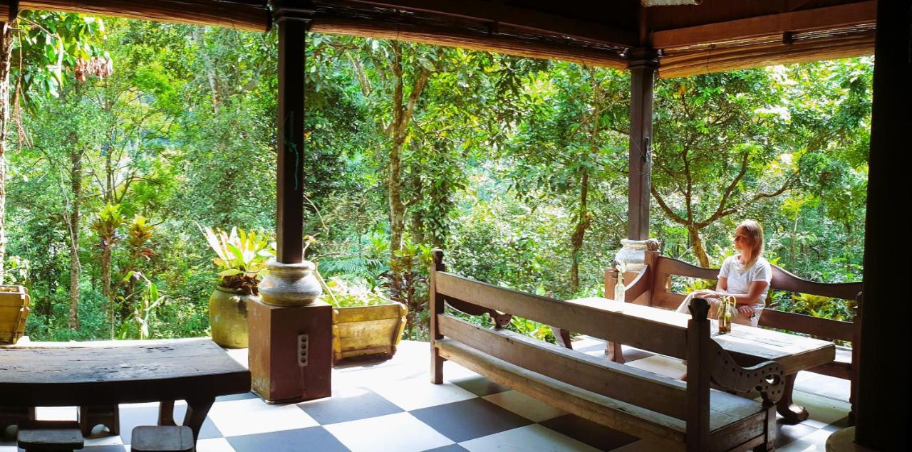 Happy Ria Homestay & Guesthouse Bukit Lawang Exteriör bild