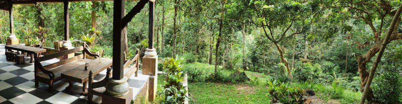 Happy Ria Homestay & Guesthouse Bukit Lawang Exteriör bild