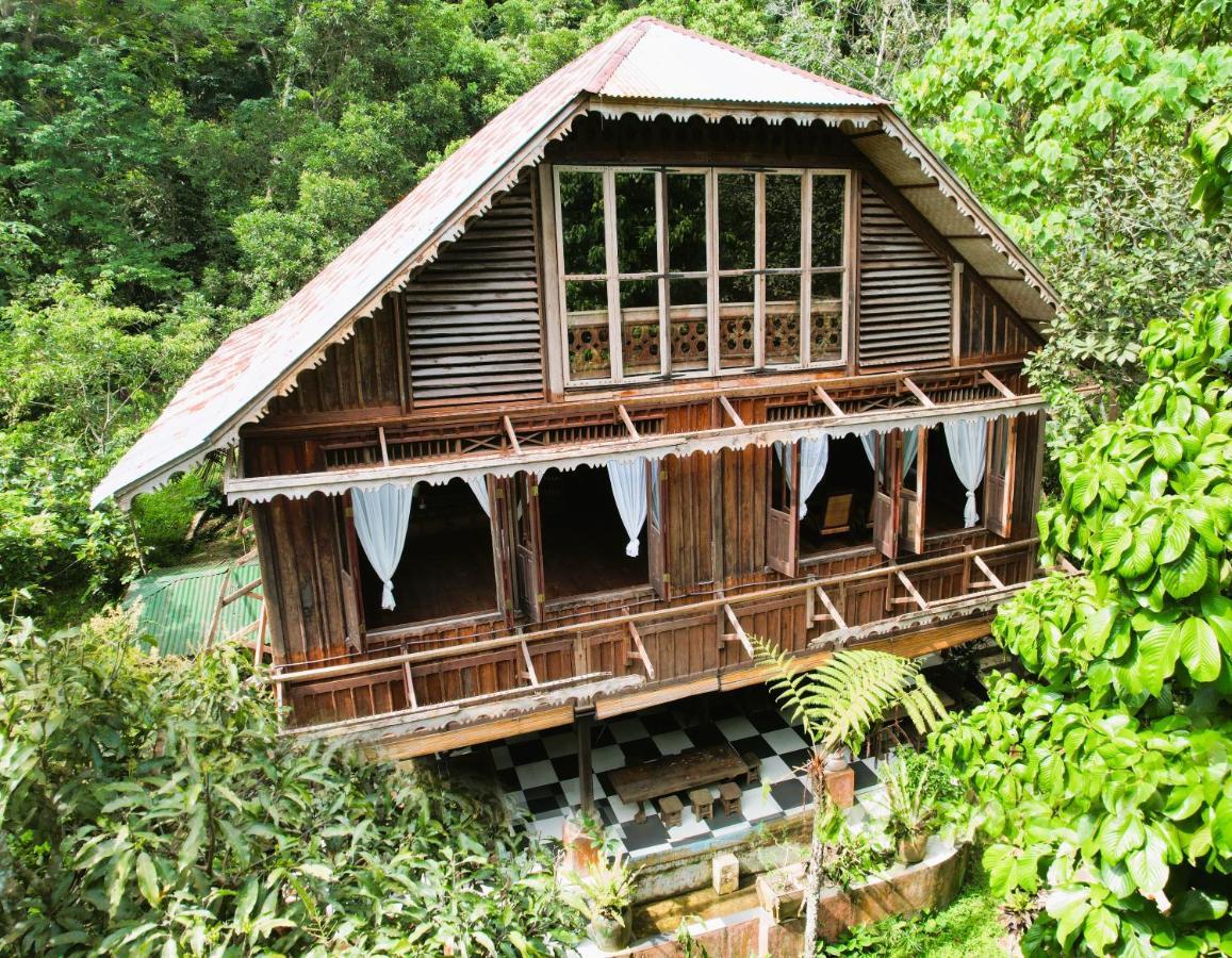 Happy Ria Homestay & Guesthouse Bukit Lawang Exteriör bild