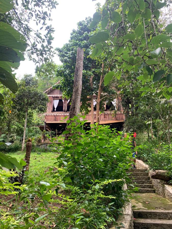 Happy Ria Homestay & Guesthouse Bukit Lawang Exteriör bild
